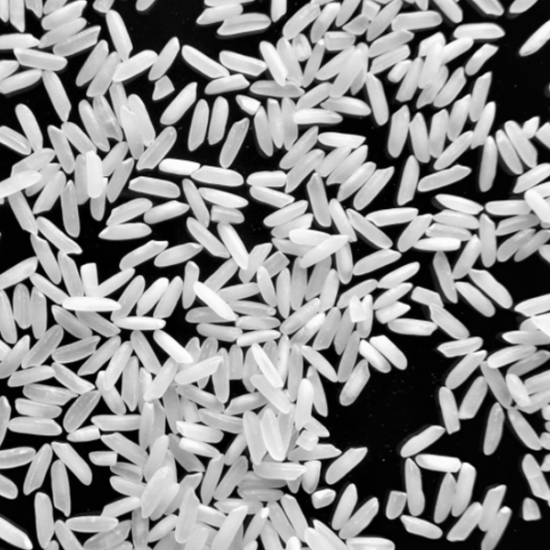 RICE – Parc Global